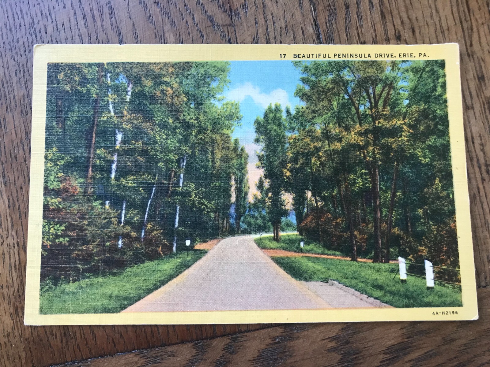 Beautiful Peninsula Drive Erie Pennsylvania Postcard