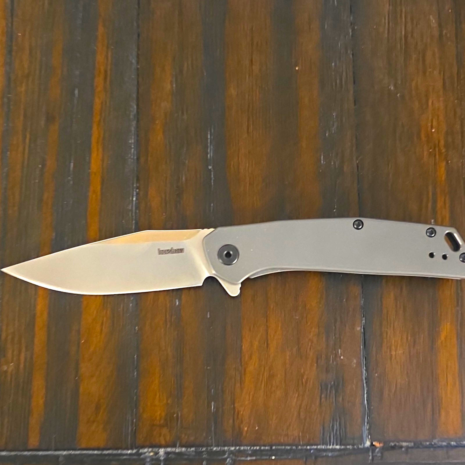 Kershaw Align 1405 Gray/Silver Drop Point Pocketknife 8Cr13MoV Plain Clip