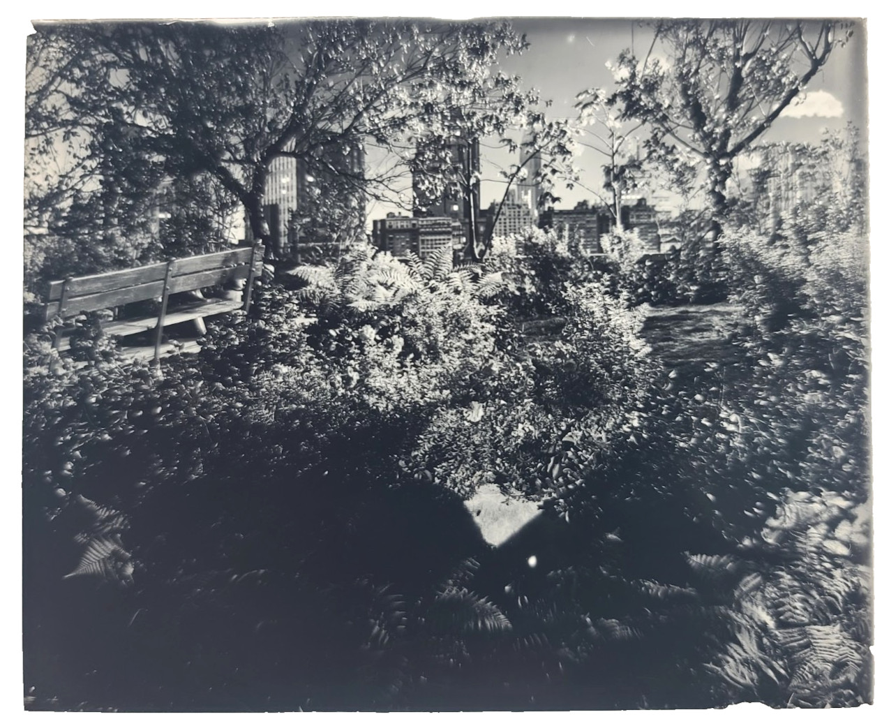 c. 20s 30s NEW YORK CITY NTY GLASS SLIDE Vtg Photo CENTRAL PARK OOAK c. 20s 30s NEW YORK CITY NTY GLASS SLIDE Vtg Photo CENTRAL PARK OOAK