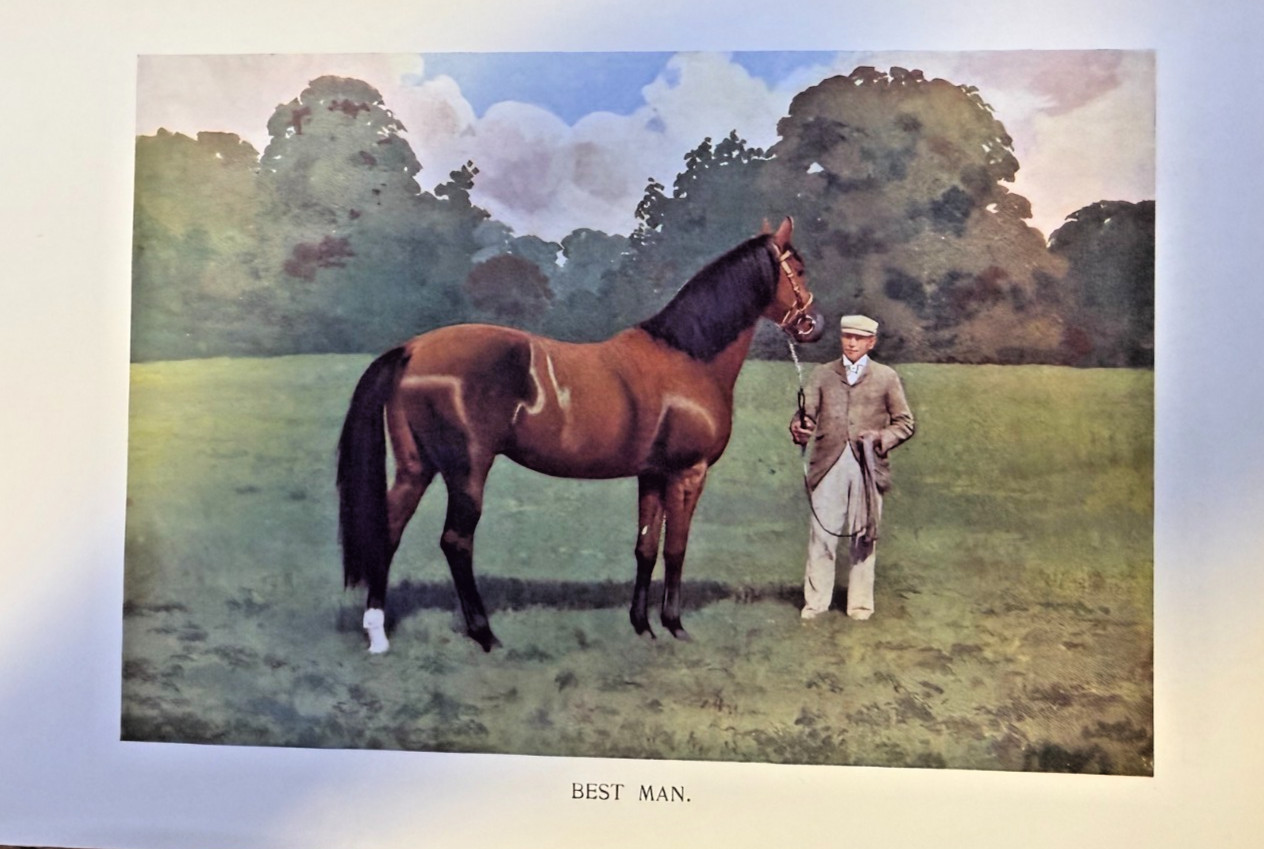 1902 Vintage Magazine Illustration Race Horse Best Man