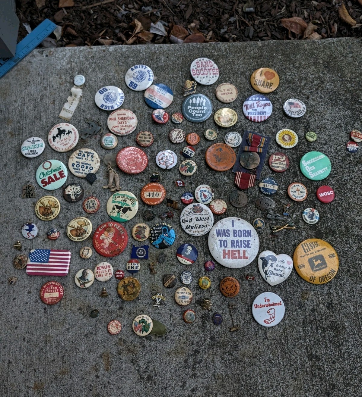 Vintage Pinback Button Lot 1900s-1980s Celluloid Lewis & Clark Union Rodeo 65+ 