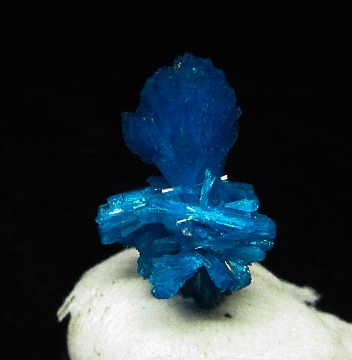 Dark blue Cavansite bowtie cluster (non-precious natural mineral) #2309