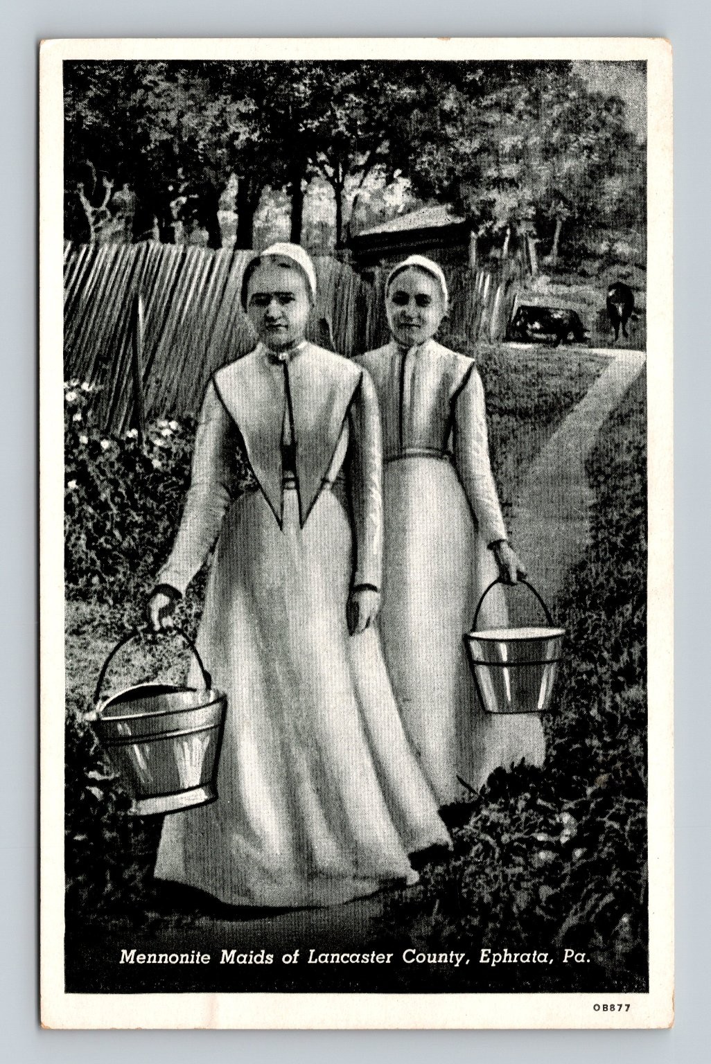 Vintage Mennonite Maids Lancaster County PA Lithograph Postcard
