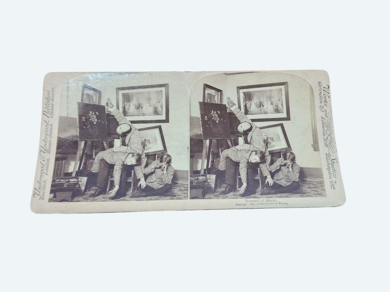 Antique Reward Of Merit 1891 Underwood Stereoview Photography Artwork