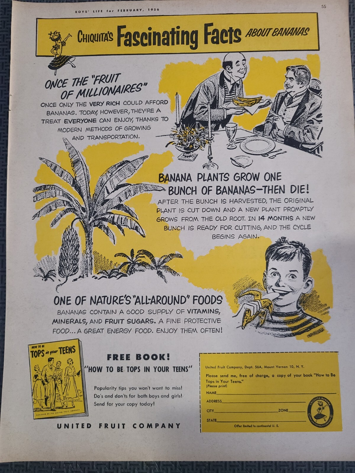 1956 Original Vintage Magazine Ad Chiquita\'s Bananas Interesting Facts