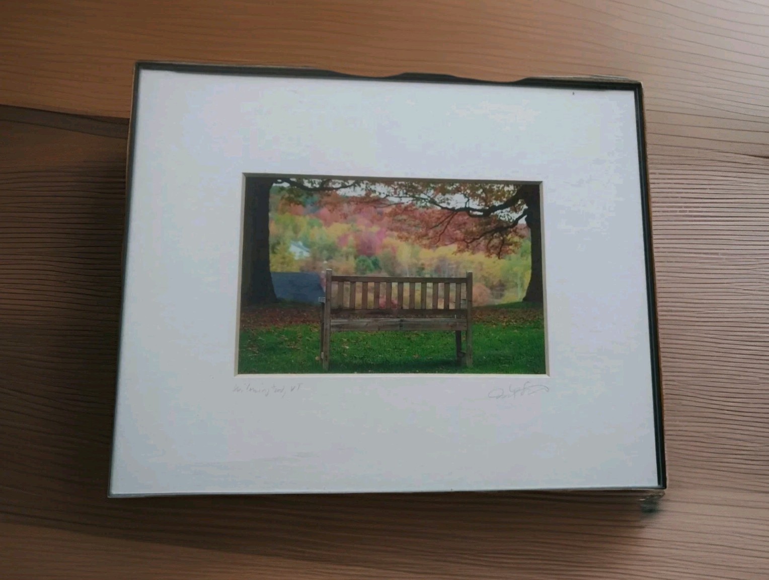 David Stern Fine Art Photography Brookline MA \