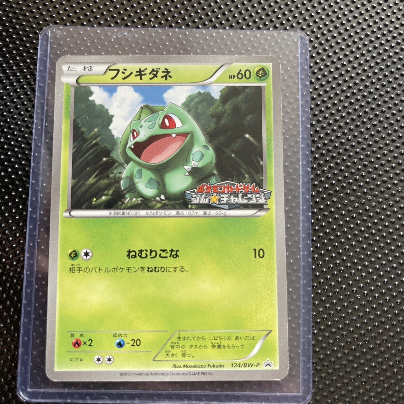 Bulbasaur promo 124/BW-P card Japanese Pokemon
