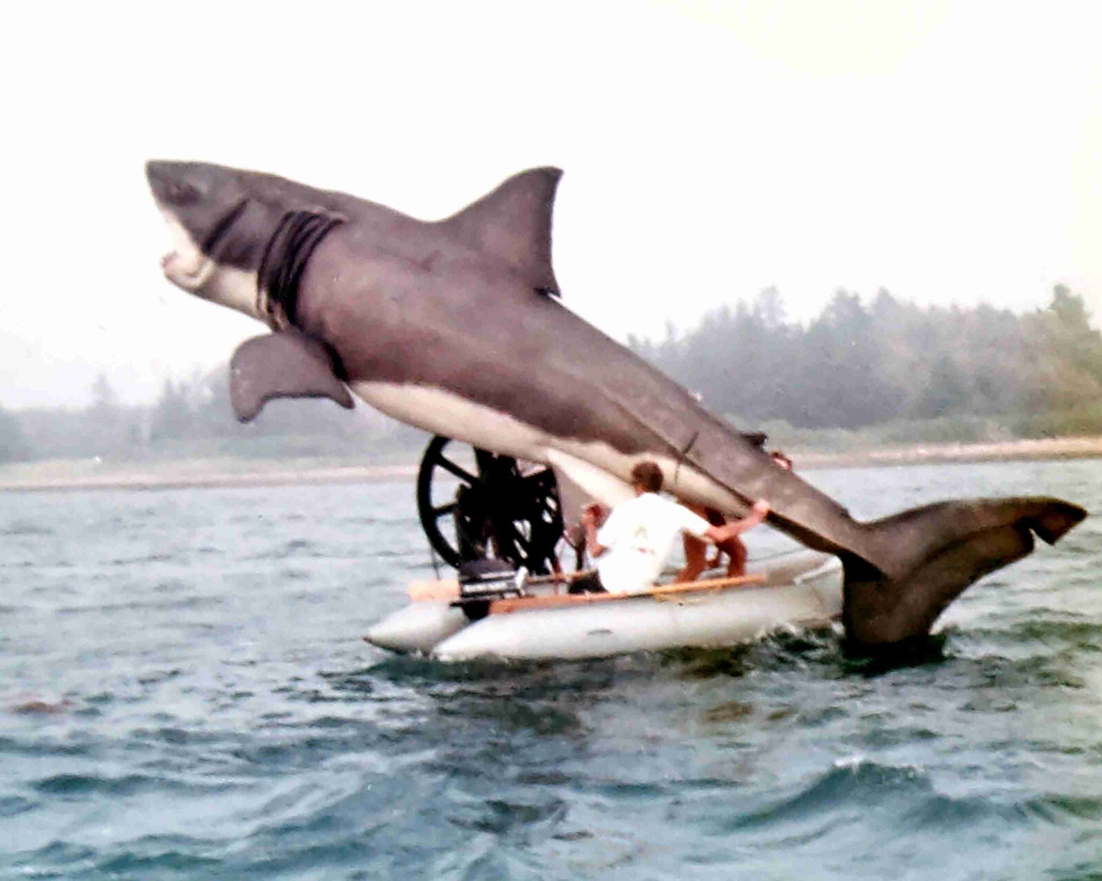 The Real Jaws 8x10 Photo