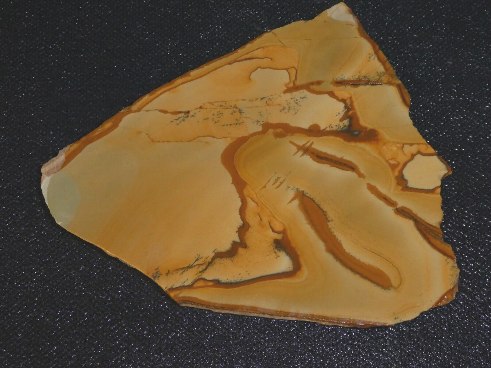 Owhyee Picture Jasper slab-  3 1/24
