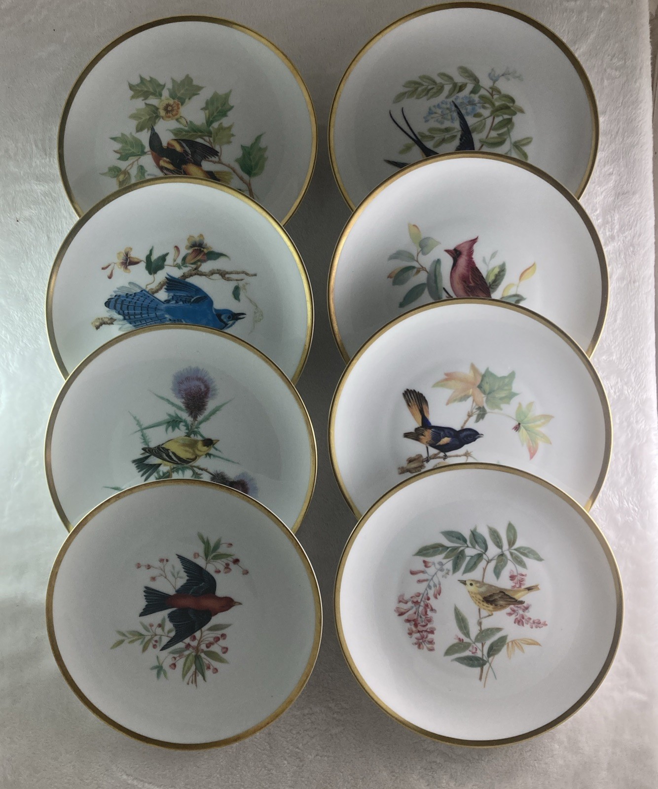 Complete Plate Set of 8 From The Drawings of Audubon Hutschenreuther Selb German