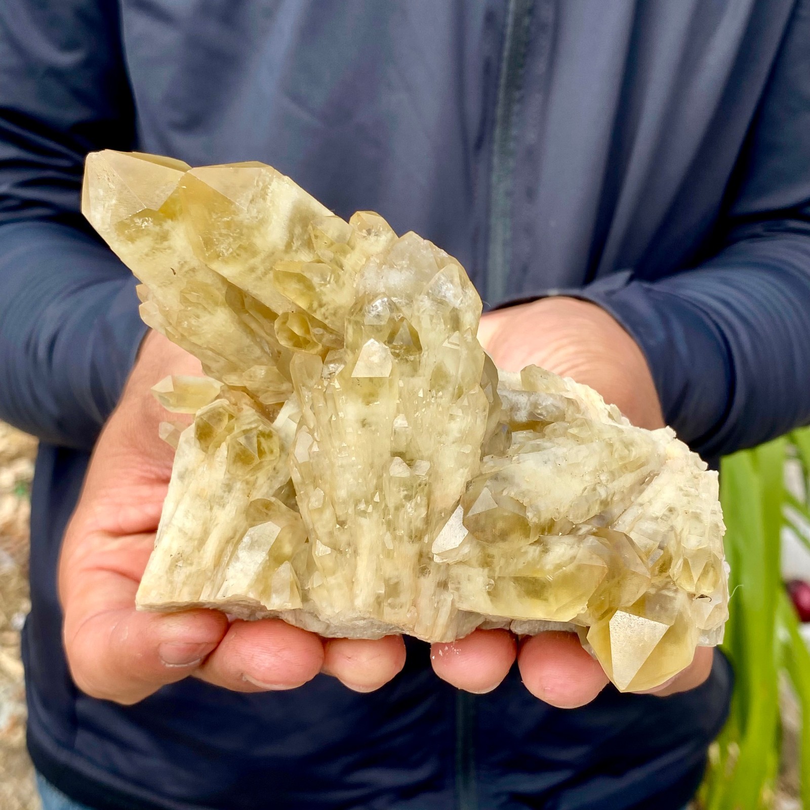 430G Natural Citrine Pineapple Elestial Point Specimen Minerals