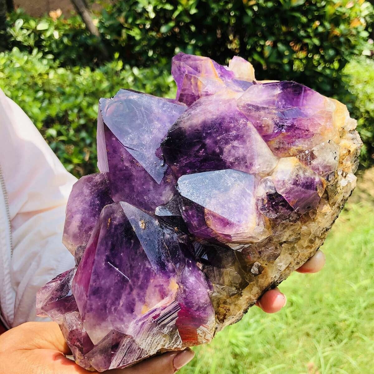 6.6LB Natural Amethyst Cluster Purple Quartz Crystal Rare Mineral Specimen 442