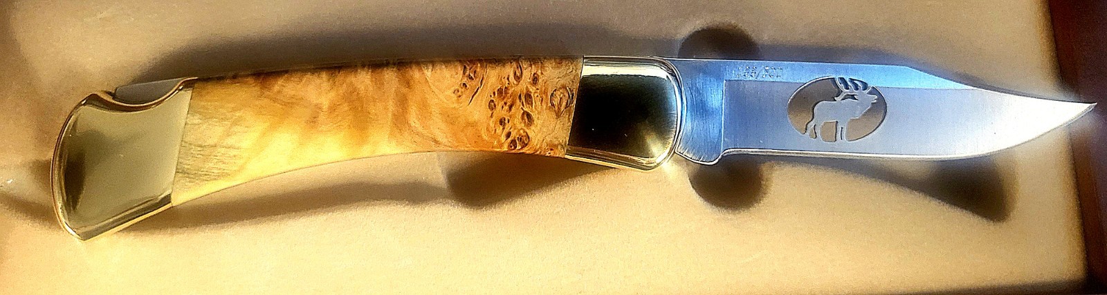 Buck Custom Birdseye Maple 110 in Wood/Glass Display case.