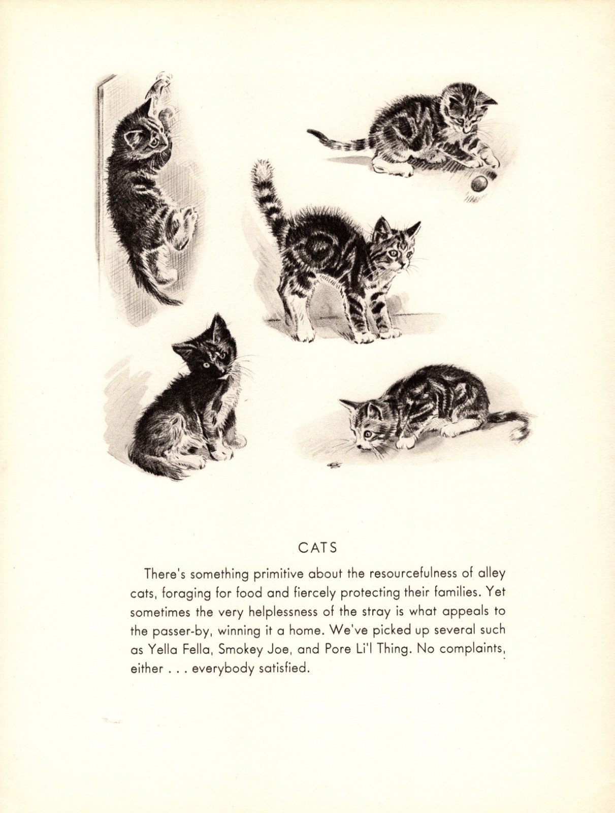1946 Antique KITTENS Art Print Vintage Morgan Dennis Cat Art Study Print 7046e