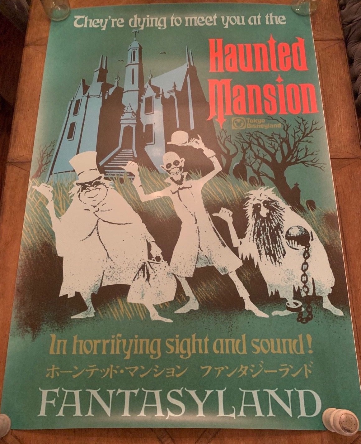 24x36 Disneyland Tokyo ATTRACTION POSTER 36x54\
