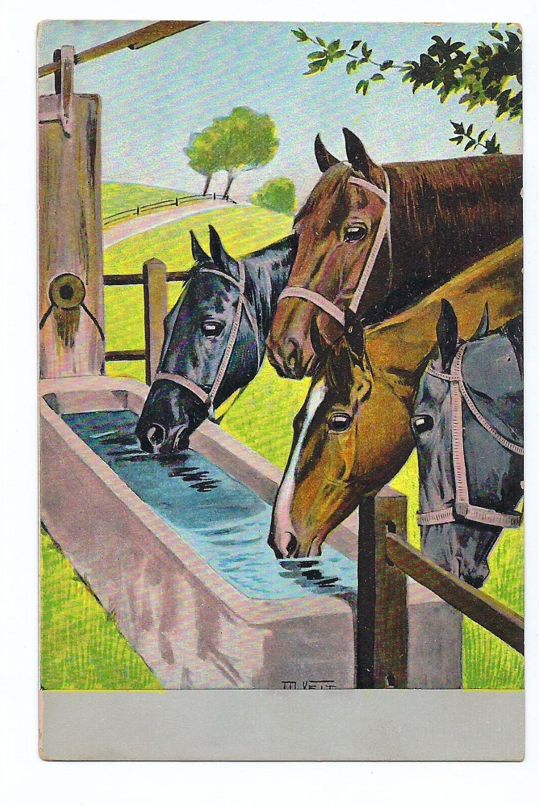 M Veit Artist Signed, Four Horses at Trough Postcard, Art Painting