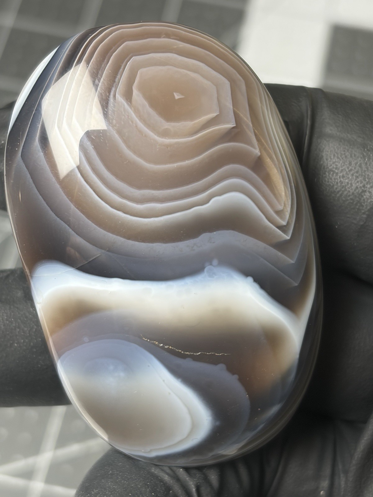 Stunning Botswana Agate Palm Stone Excellent Banding Colorful