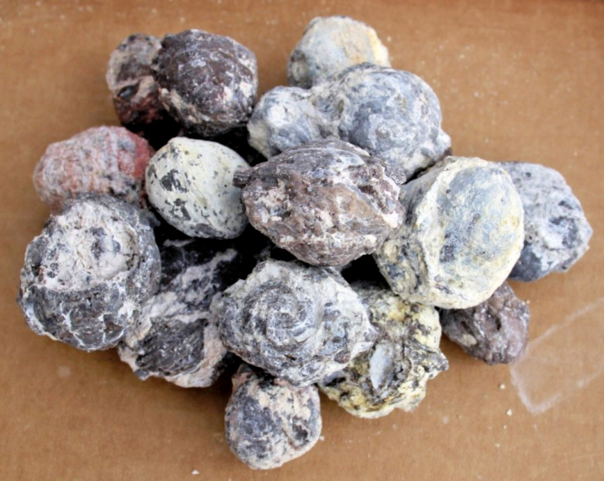 Two Pounds, 25-30  Whole Dugway Geodes • 0.5\