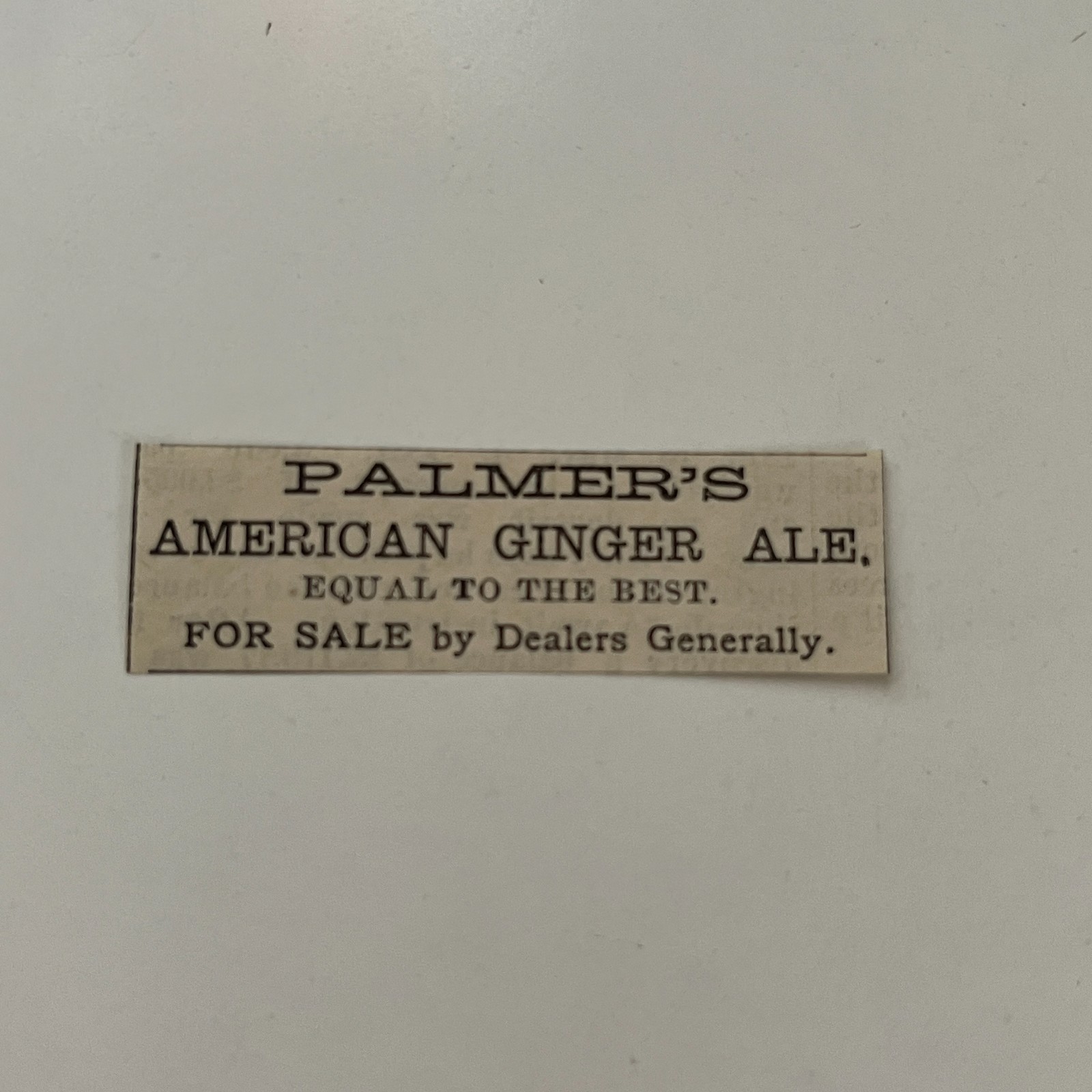 Palmer's American Ginger Ale For Sale 1881 Washington DC Clipping TAJ8-S41 Palmer's American Ginger Ale For Sale 1881 Washington DC Clipping TAJ8-S41