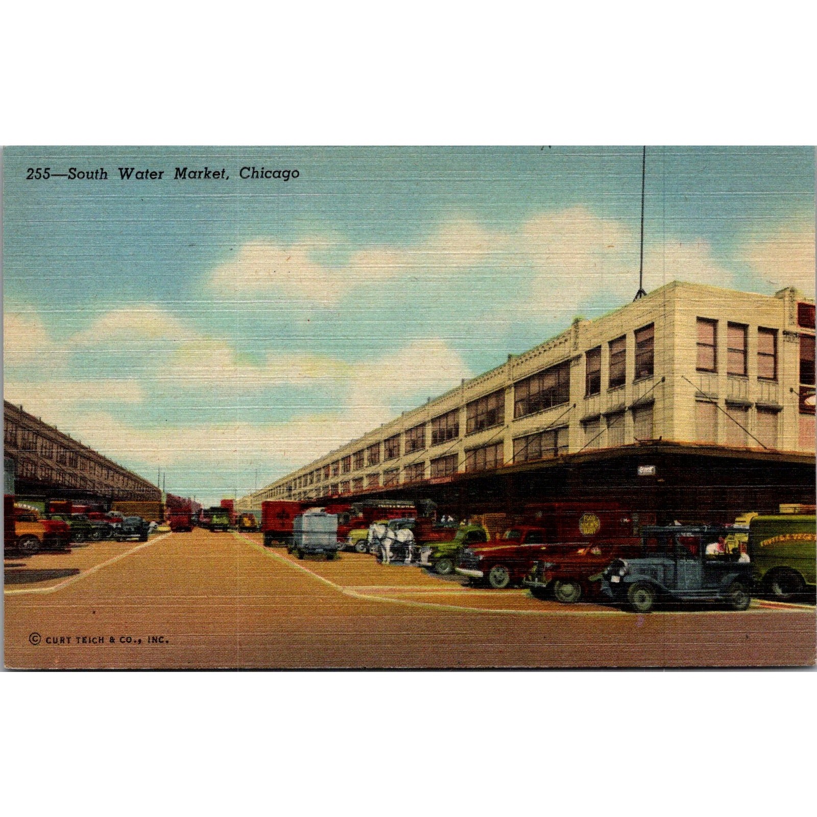 South Water Market Chicago IL Vintage Postcard SPH15