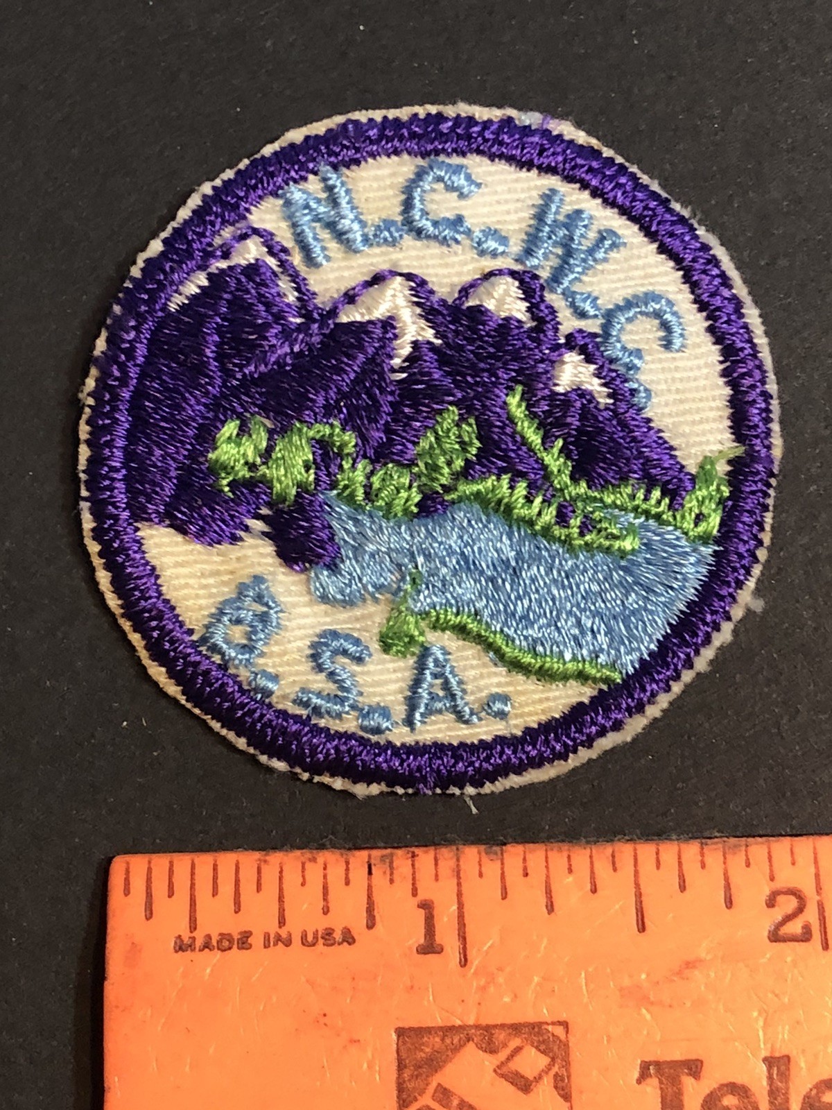 BSA North Central Washington Council boy scout patch purple border USED S4