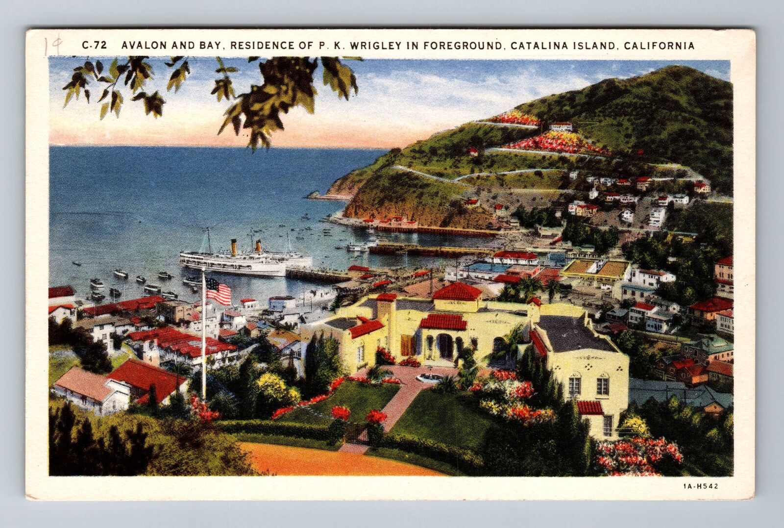 Catalina IslCA-California Avalon Bay Residence P.K Wrigley Vintage Postcard