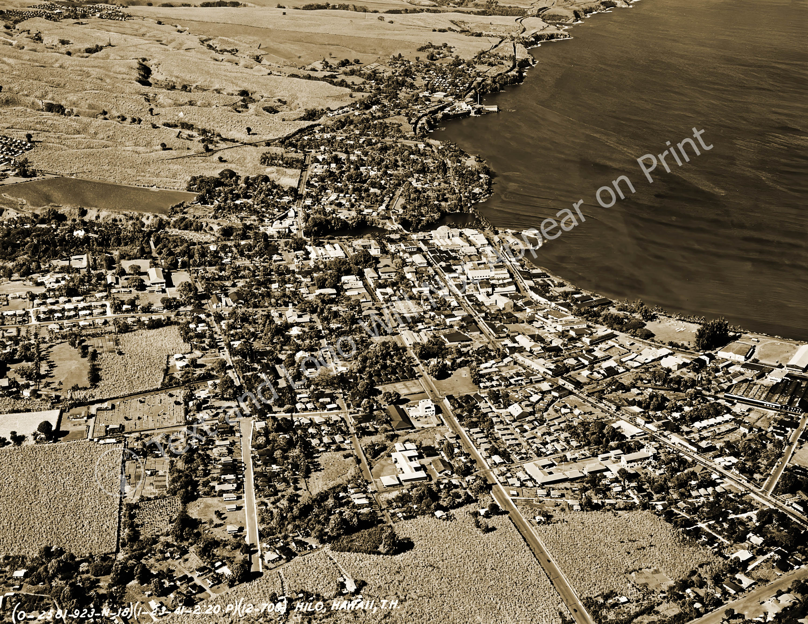1941 Aerial View of Hilo, Hawaii Vintage Old Photo Reprint