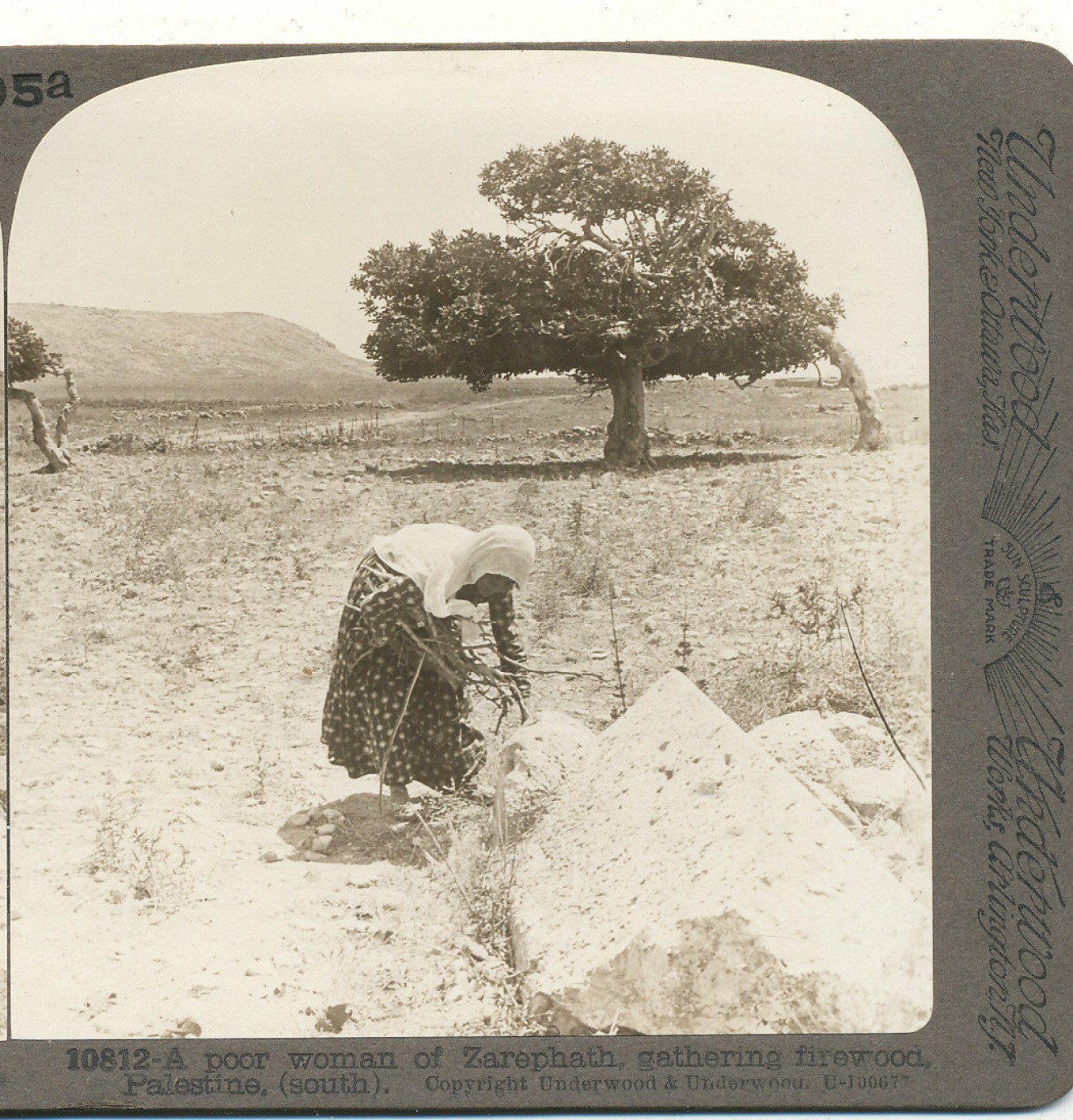 A Poor Women of Zarephath gathers firewood Palestine Underwood Stereoview c1900
