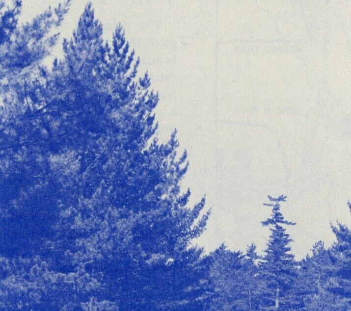 1983, Hartwick Pines State Park & Logging Museums Brochure Grayling Michigan