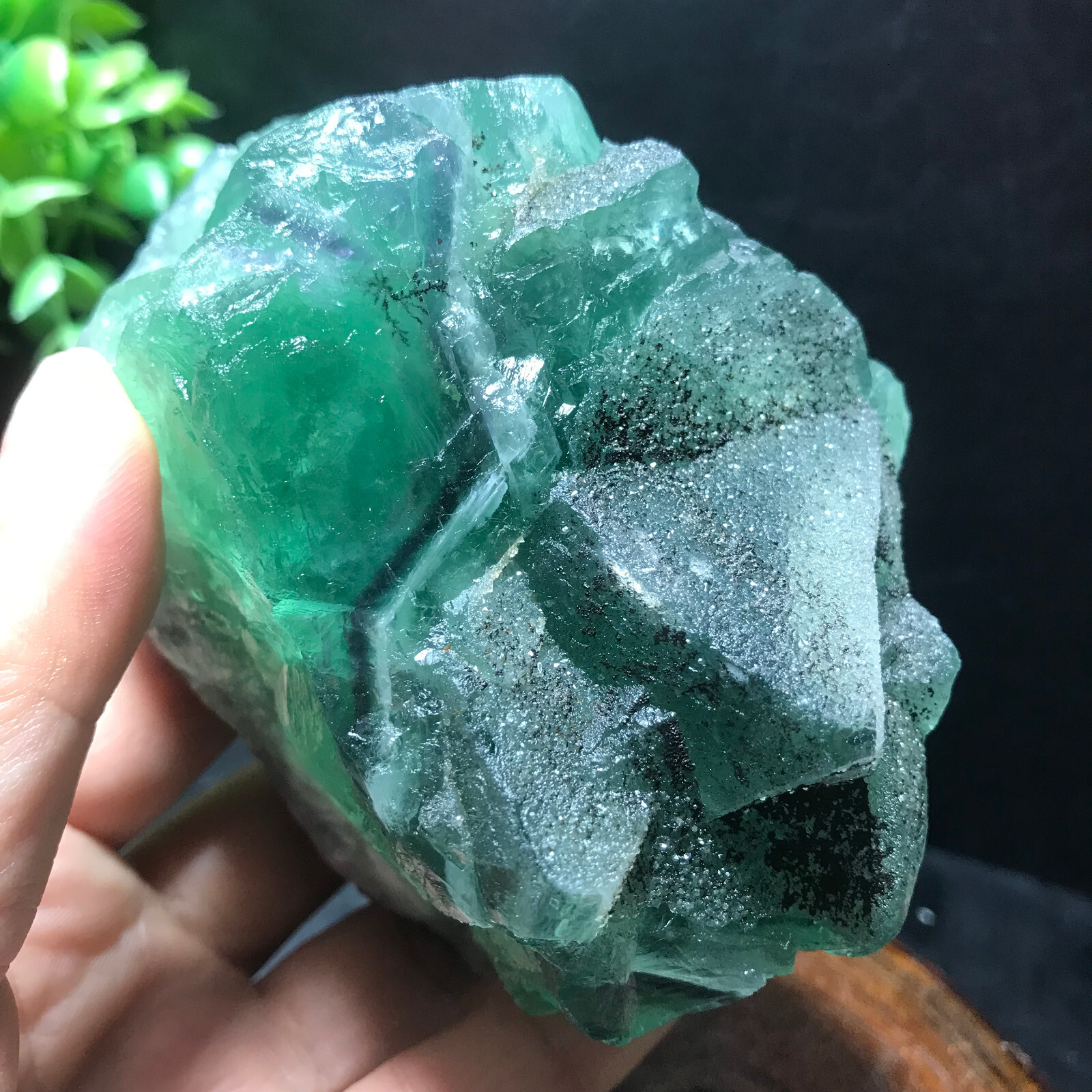 674g Natural green fluorite quartz crystal cluster mineral sample Healing 29