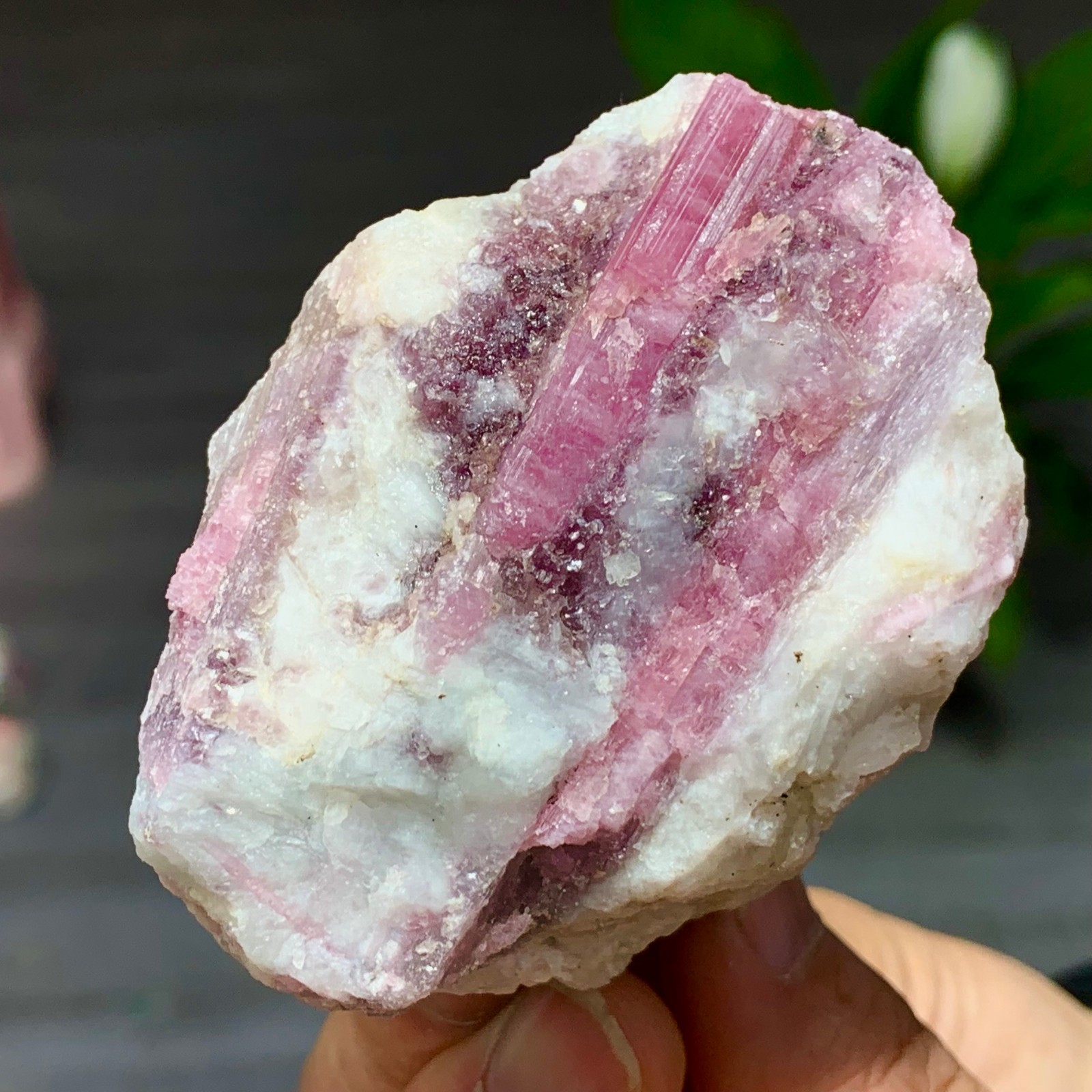 251G Natural crystal wonderful Lepidolite purple mica+red tourmaline Madagascar