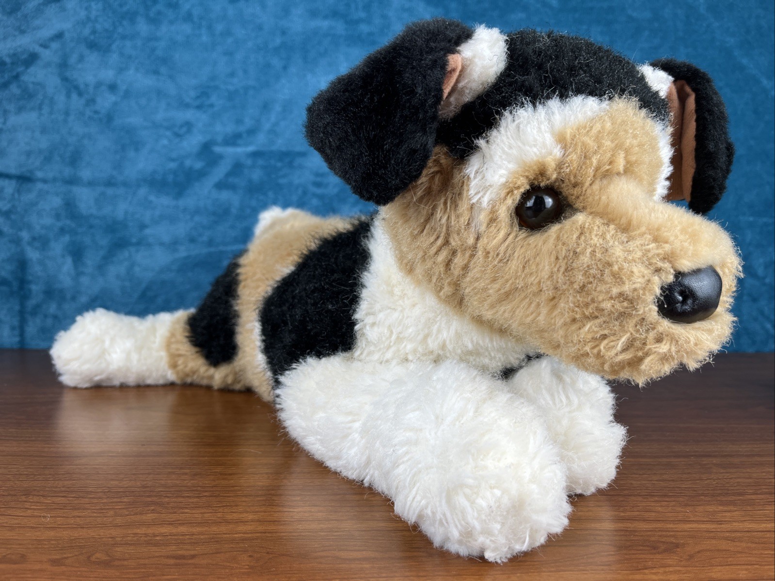 Douglas Moses Terrier Mix Dog #2447 19\