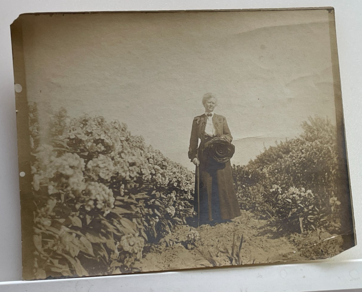 Antique B&W Photo Dunbar Woman On Hill In Fine Clothes Walking Stick & Hat