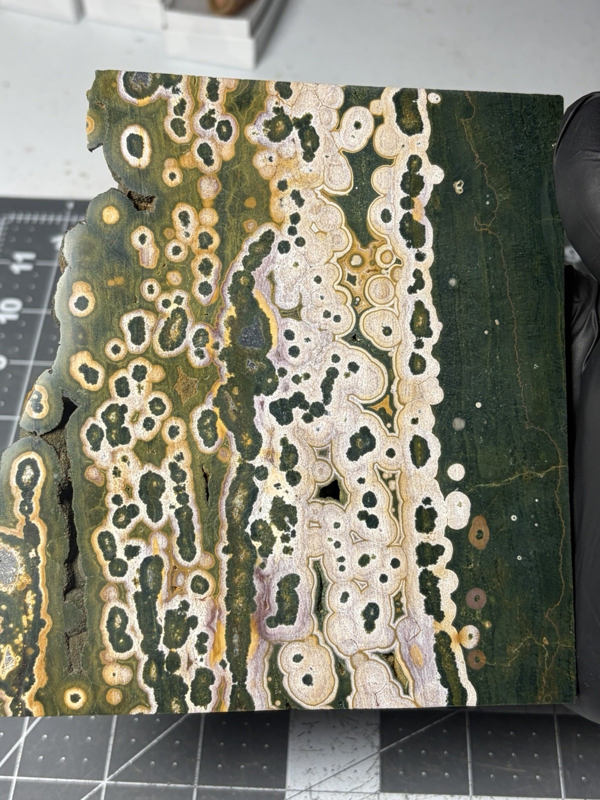 Beautiful Large Ocean Jasper Slab