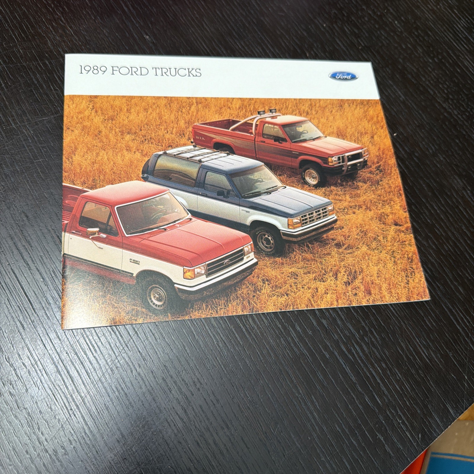 1989 Ford Trucks Brochure 15 Pages Excellent