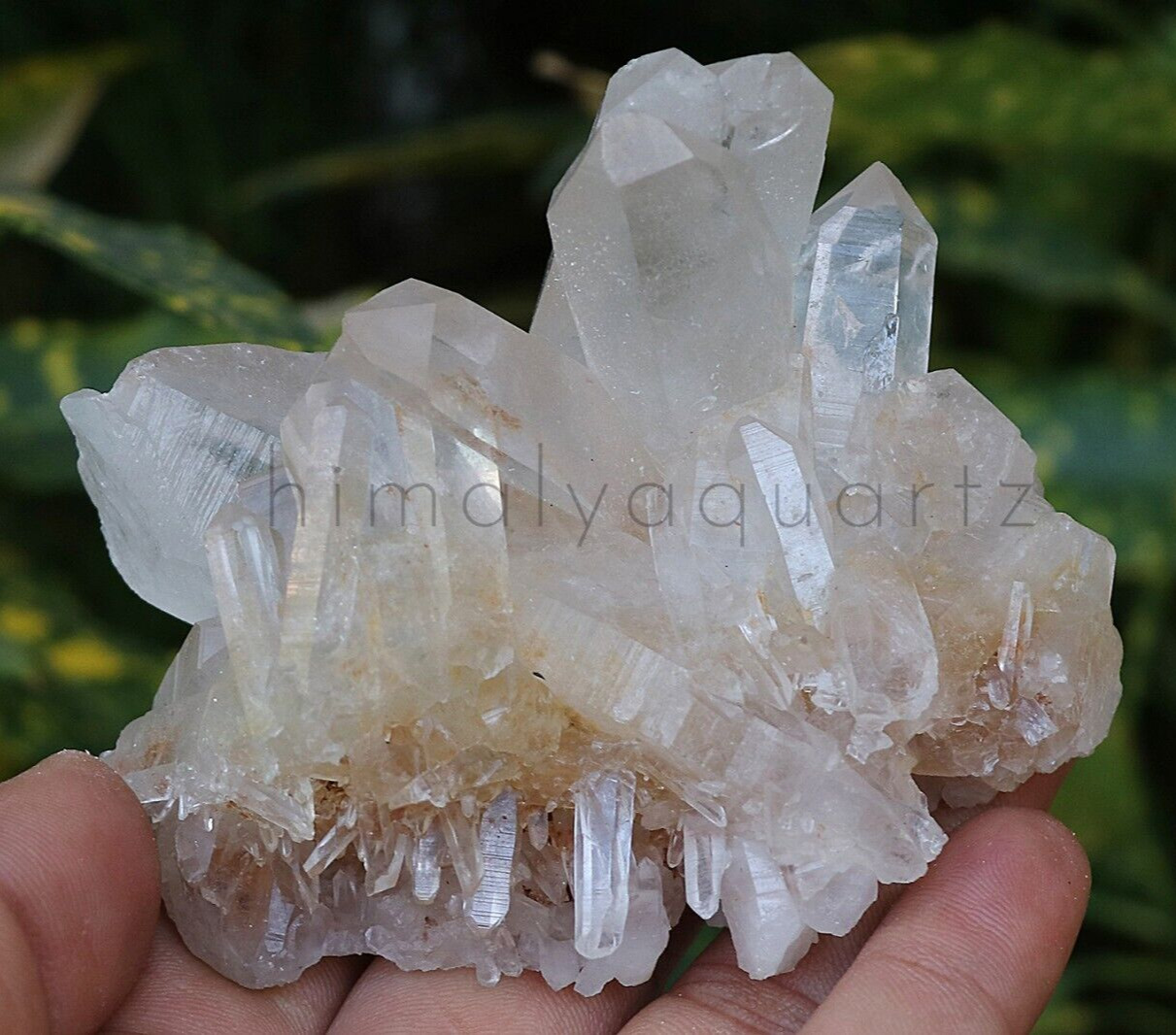 Small Pointed Cluster Natural Himalayan White with Yellow shade 196 gm Specimen
