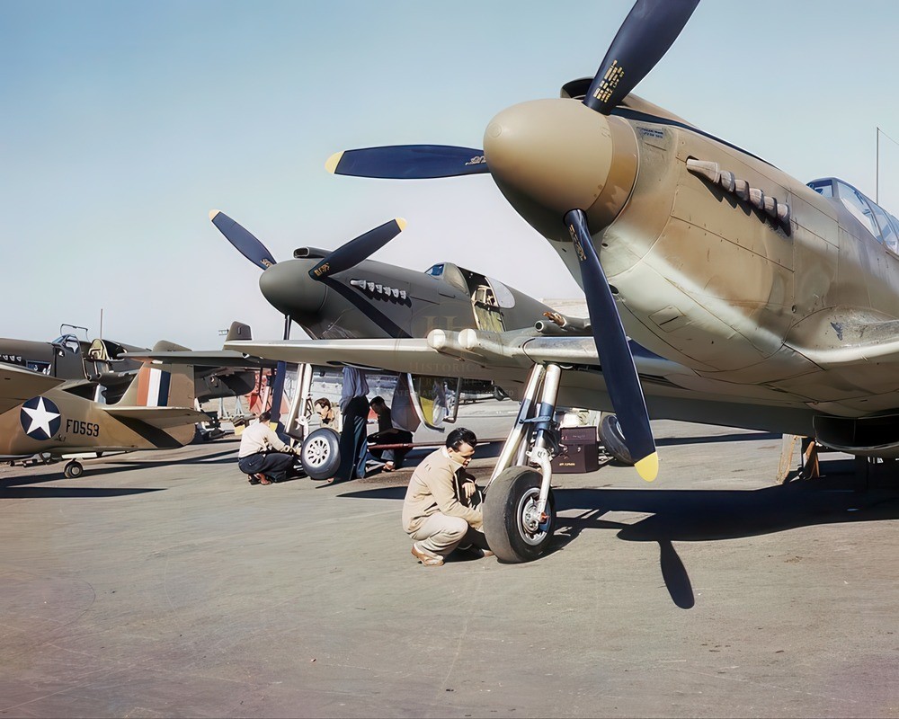 Mustang P-51 Fighter Aircraft WWII 8x10 Glossy Photo Print HT41362170