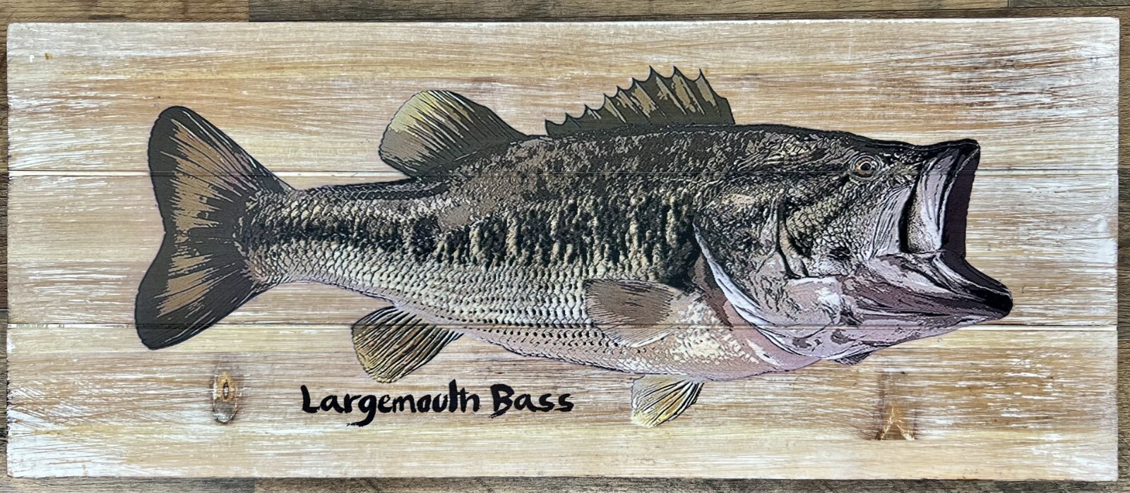 Fish Bass Wooden Wall Art 17\