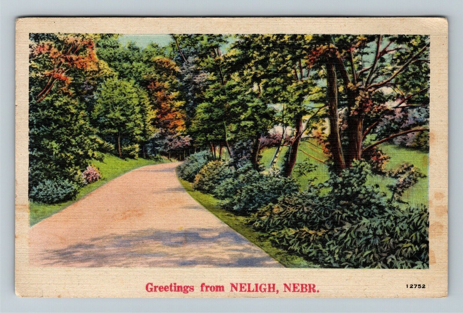 Neligh NE, Scenic View Walking Path With Trees, Nebraska Vintage Postcard
