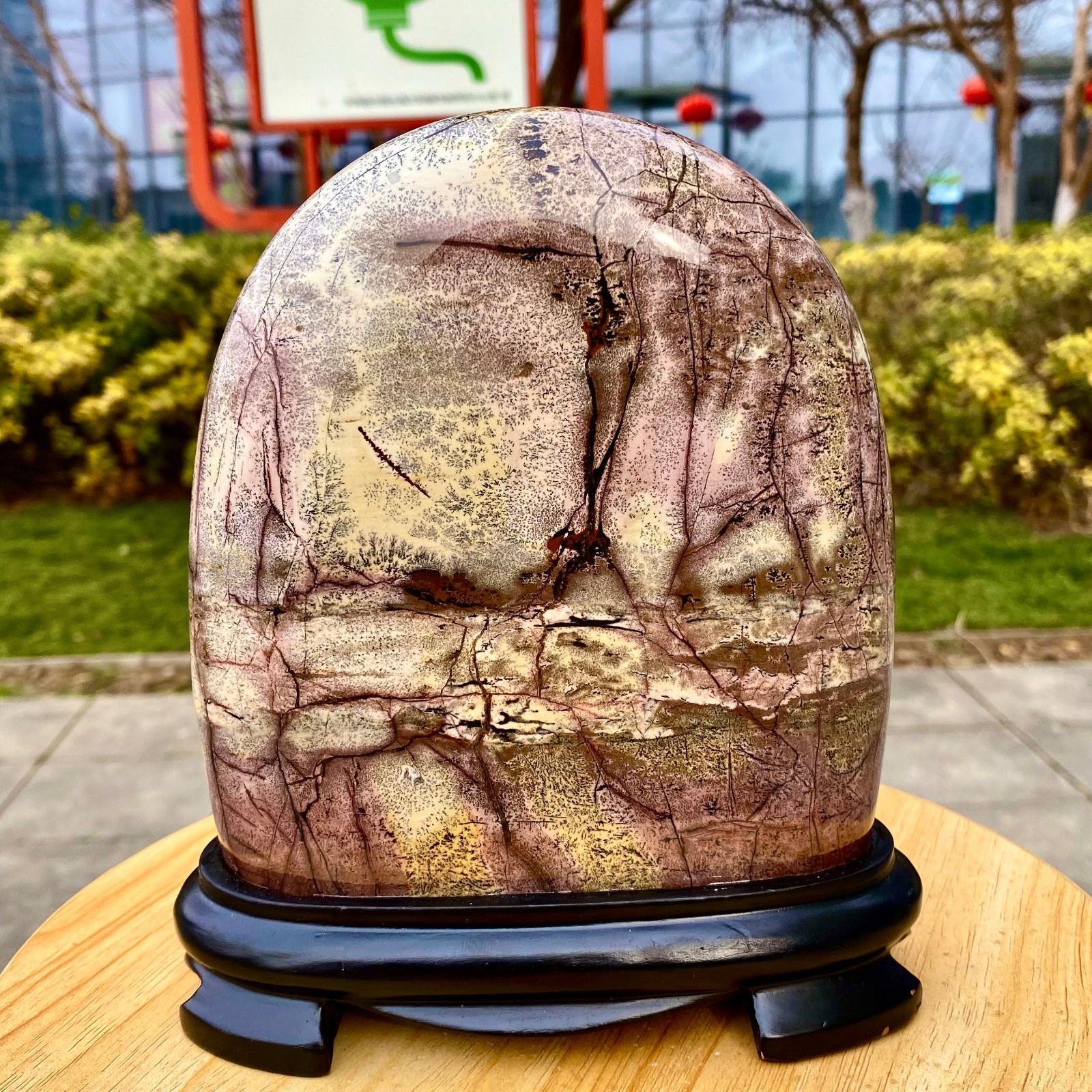 4.65LB Beautiful Natural Chinese Dendritic Limestone Picture Stone Guohua -Rare