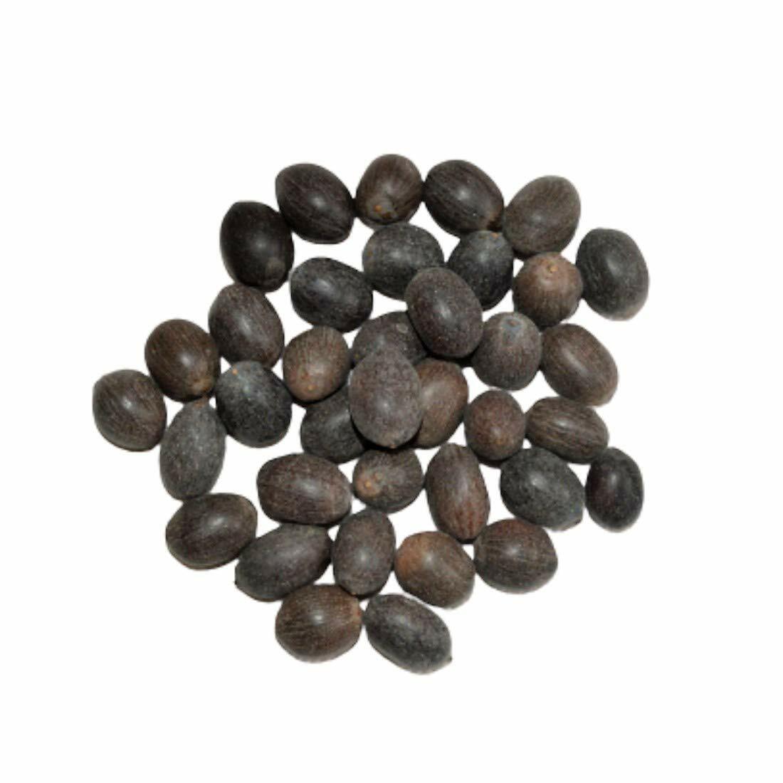 21 PC KAMAL GUTTA GATTA LOTUS SEEDS NELUMBO NUCIFERA for Goddess Laxmi 