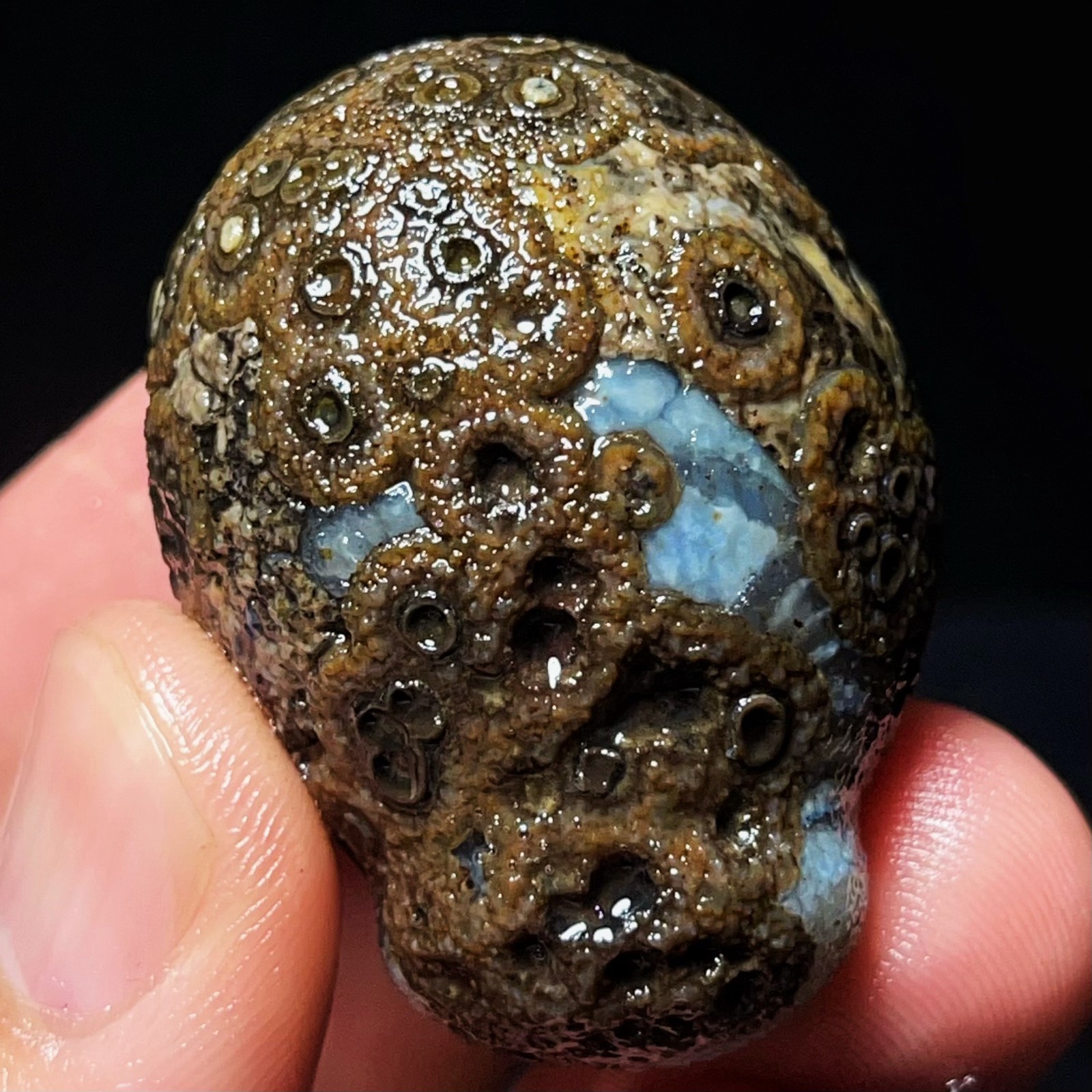 TOP 51G Natural China\'s Gobi Desert Gobi Agate Eyes Agate Crystal Healing 5459