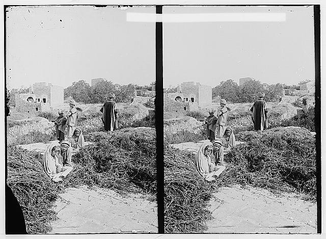 Photo:Bethel Palestine 1900s Village Scene People in Fields Stereo View