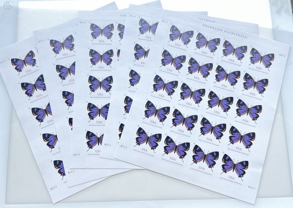 5 Sheets Total 100 Pcs Colorado Hairstreak Butterfly Non-Machinable Wedding