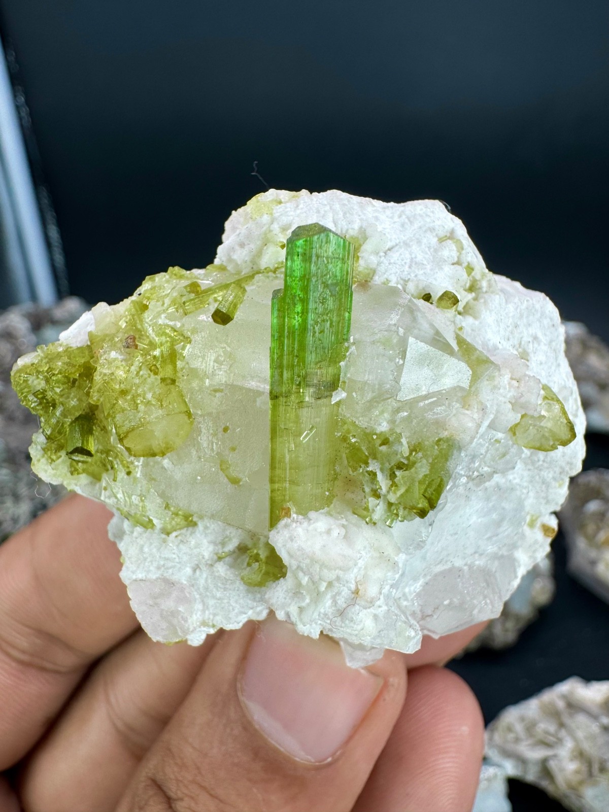 Tourmaline With Quartz Combine Specimen 342 CT  @ Minerals