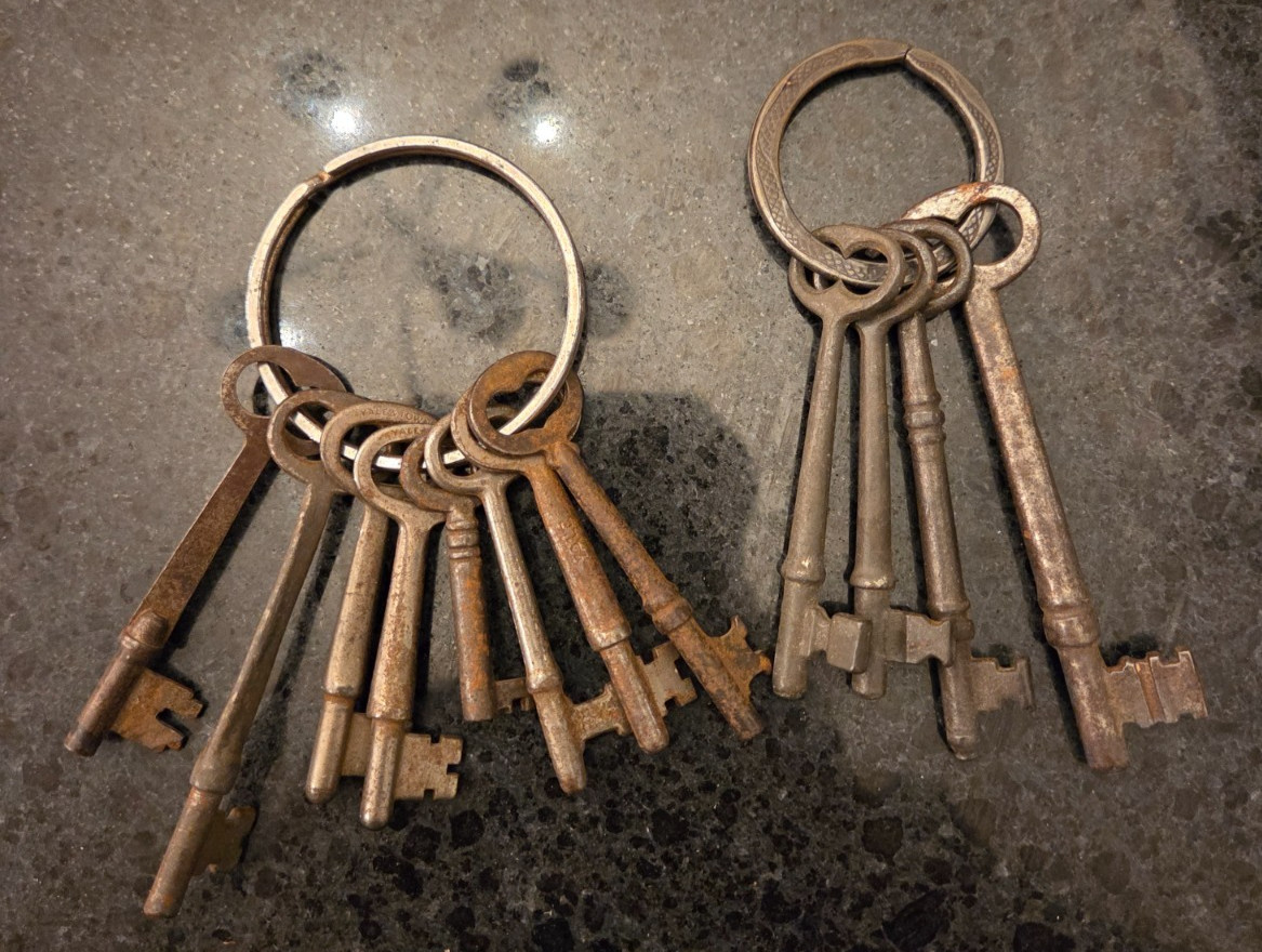 REAL Antique Vintage Skeleton Key 12 LOT & Snake Ring Chest Lock Halloween Decor