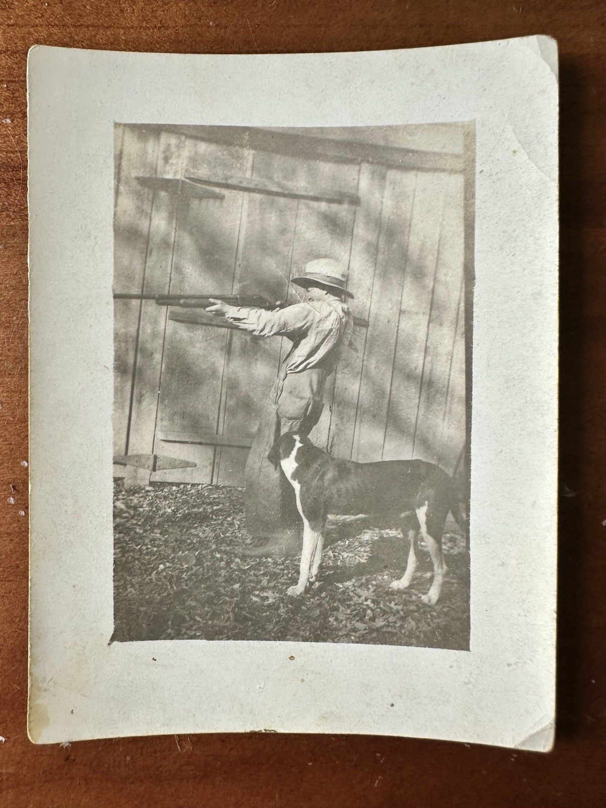 Old 1910s 1920s Snapshot Photo Little Boy with Rifle and Hunting Dog Vintage