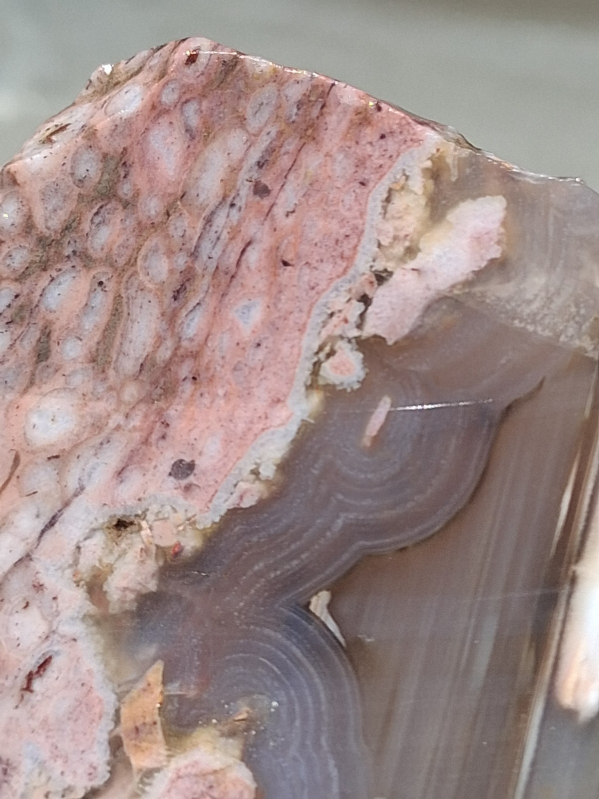 Banded Agate Swirls Inside Rhodochrosite Unique Slab Very Cool