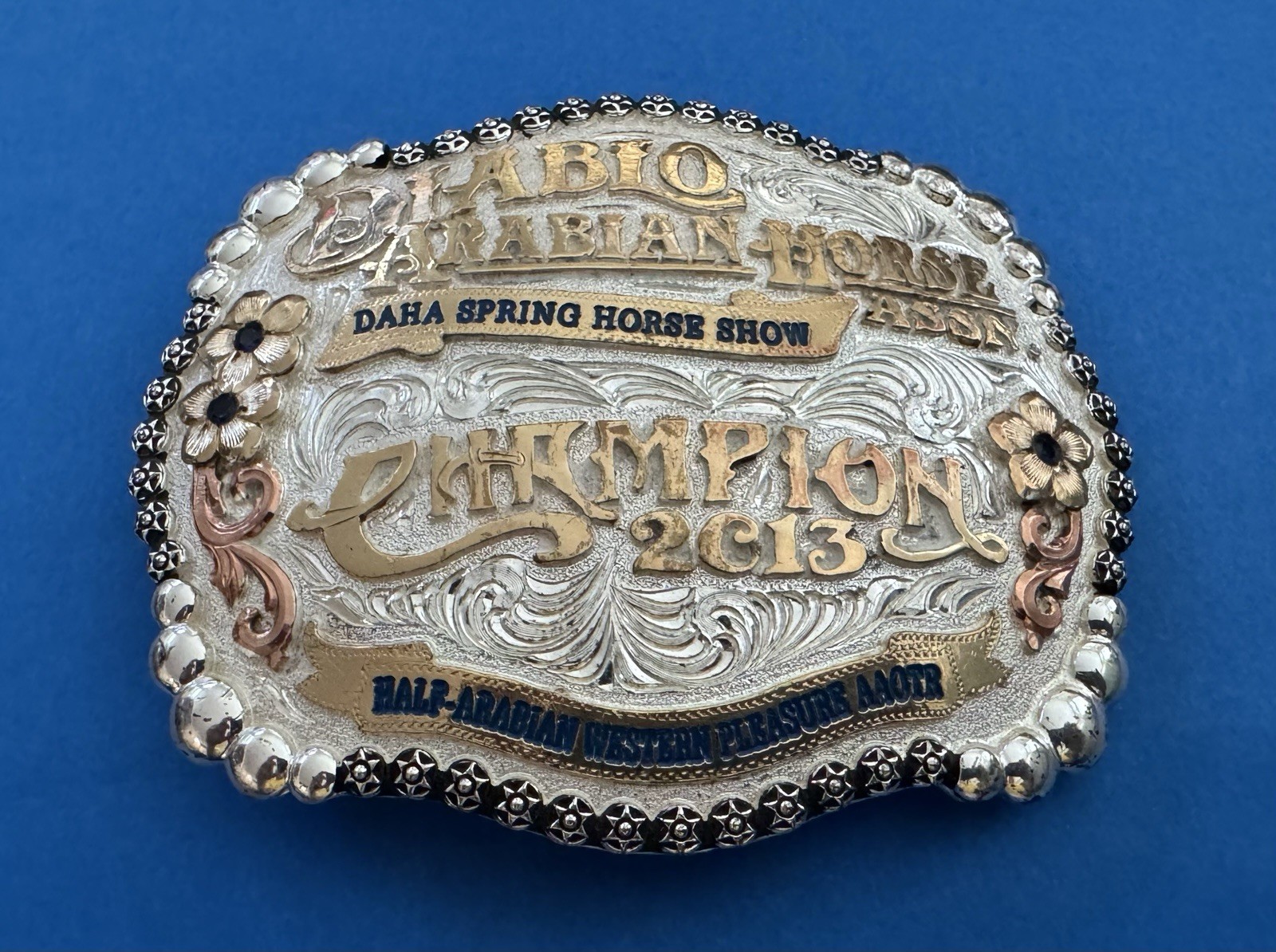 Vintage 2013 Diablo Arabian Horse Association DAHA Champion Trophy Belt Buckle