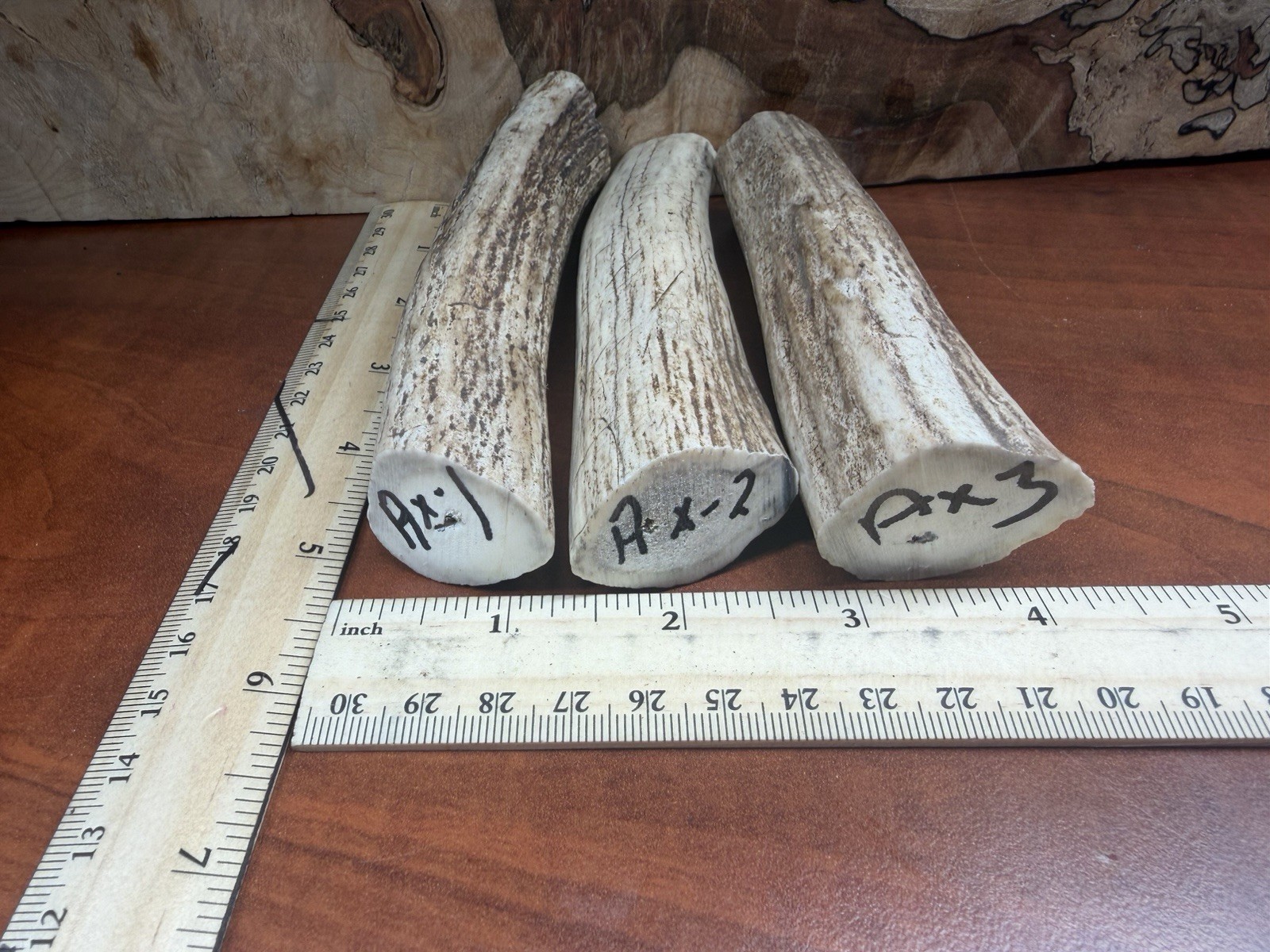 Axis Buck Stag. 3 Very Solid Pieces Perfect For Knife Handles Or Crafts